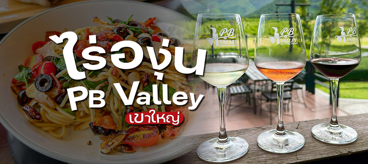  - รูปหน้าปก