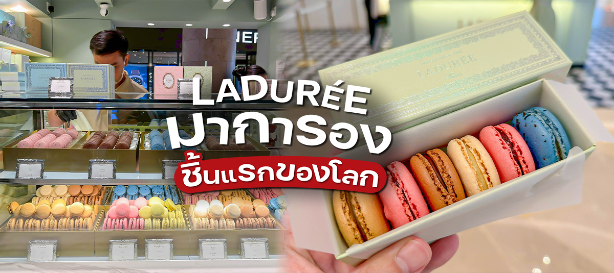  - รูปหน้าปก