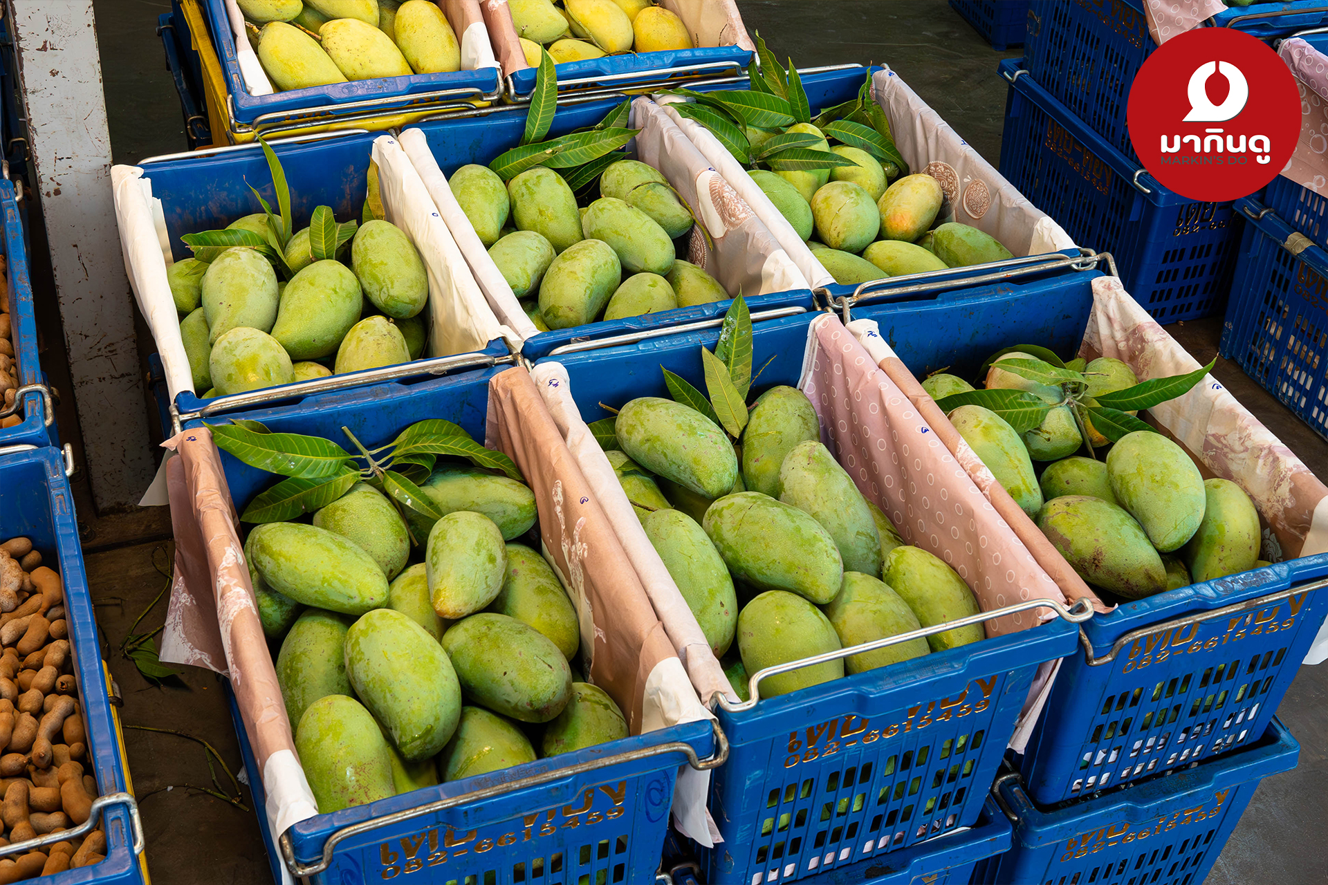  - สื่อประกอบ 3 (ภาพ)