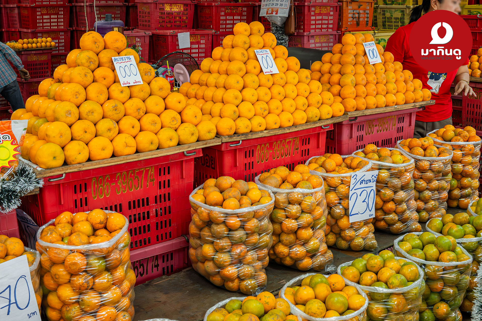  - สื่อประกอบ 8 (ภาพ)