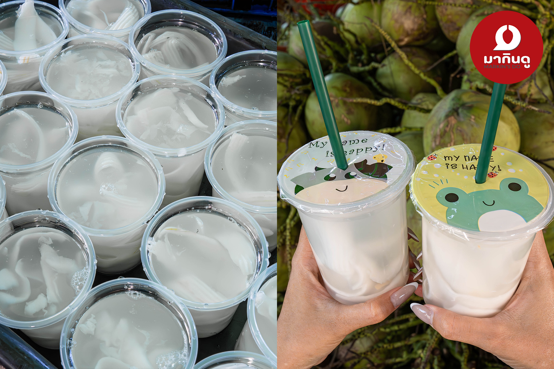  - ภาพประกอบ 5